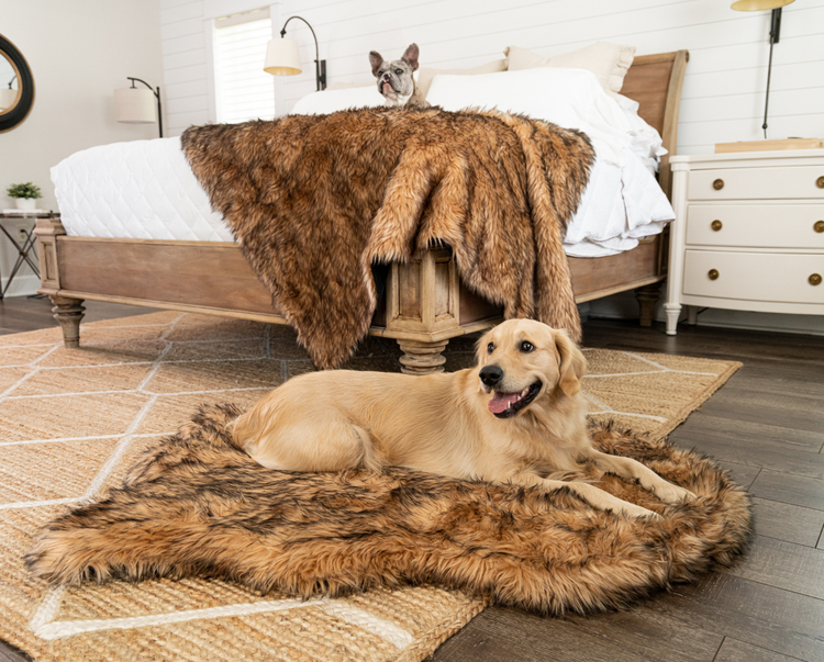 PupRug™ Bundle - Orthopedic Bed Curve, Sable Tan + Matching Waterproof Blanket