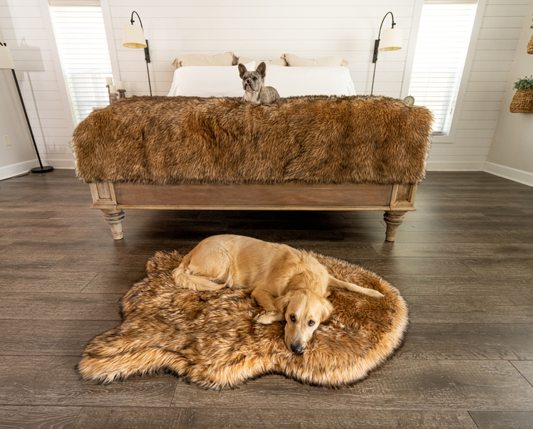 PupRug™ Bundle - Orthopedic Bed Curve, Sable Tan + Matching Waterproof Blanket